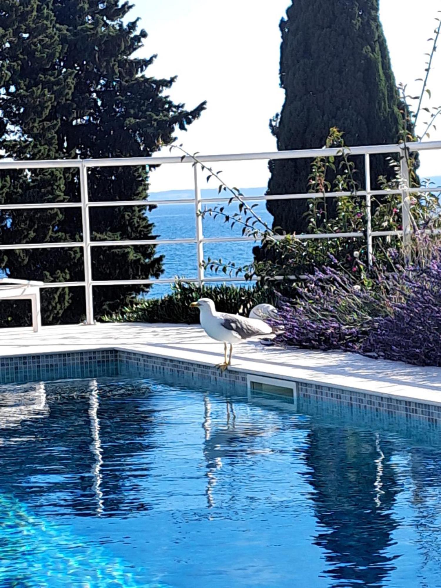 Apartment With Private Pool Split Buitenkant foto